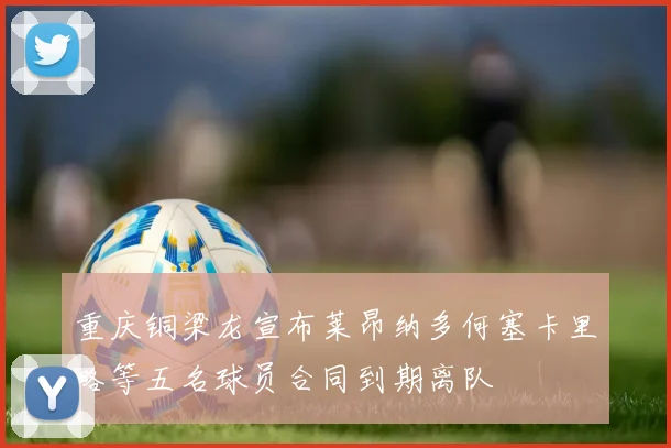 重庆铜梁龙宣布莱昂纳多何塞卡里略等五名球员合同到期离队