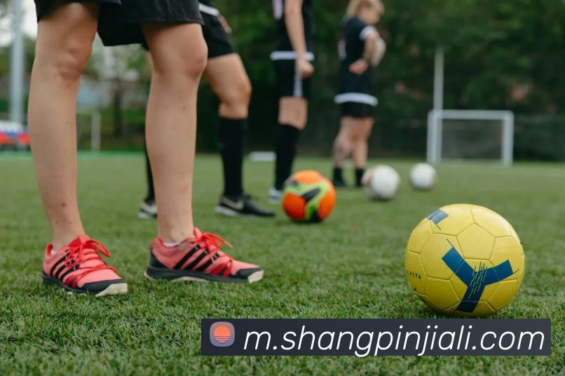 乐鱼在线登录入口发展历程